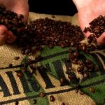 Fair-trade-coffee-002